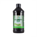 Chlorofil w Płynie 473 ml Oczyszczenie Myvita