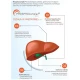 Liver Regeneration Complex Regeneracja Wątroby Sylimaryna, Karczoch, Ostropest, Berberyna (90 kaps) Aliness