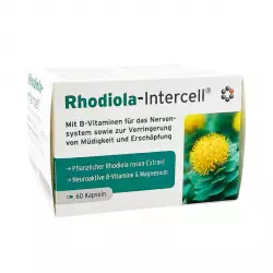 Rhodiola-Intercell Ekstrakt z Różeńca Górskiego z Magnezem i Witaminami (60 kaps) Mito-Pharma