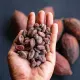 Gorzkie Kakao w Proszku Bez Dodatku Cukru Bezglutenowe 75 g Alce Nero