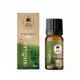 Olejek Eteryczny Oregano 100% 10 ml Dary Natury