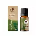 Olejek Eteryczny Oregano 100% 10 ml Dary Natury