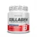Kolagen Kwas Hialuronowy Witamina C i E - Czarna Malina 300 g Collagen BioTechUSA