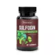 SULFOGIN Sulforafan + Ginkgo Biloba Wsparcie Oksydacyjne Organizmu VEGE (60 kaps) Skoczylas