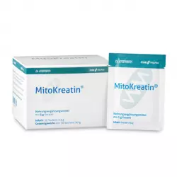 MitoKreatin® Kreatyna 3 g MSE Dr Enzmann Poprawa wydolności fizycznej (30 saszetek) Mito-Pharma