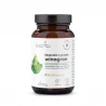 Ekstrakt z Pestek Winogron 550 mg Wsparcie Układu Krążenia i Pracy Wątroby VEGE (60 kaps) Aura Herbals