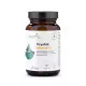 Czystek IMMUNO+ 600 mg Ekstraktu + Czosnek Jeżówka i Cynk Odporność (60 kaps) Aura Herbals