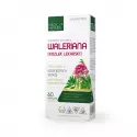 Waleriana Kozłek Lekarski 300 mg na Uspokojenie (60 kaps) Medica Herbs