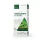 Andrografis (Brodziuszka wiechowata) 400 mg Odporność (60 kaps) Medica Herbs