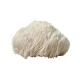 Lion\'s Mane Soplówka Jeżowata 