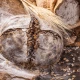 Mąka Żytnia TYP 960 BIO Ekologiczna 1 kg Bio Planet