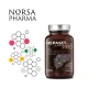 Hepaset PRO Cholina Sylimaryna Wsparcie Wątroby (60 kaps) Norsa Pharma