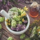 Zioła Szwedzkie Marii Treben Naturalna Mieszanka Ziołowa 90,2 g Organis