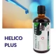 Helico Plus Żołądek Ekstrakt 100 ml Organis