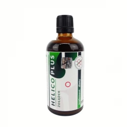 Helico Plus Żołądek Ekstrakt 100 ml Organis