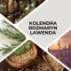Ziołowy Sen Olejek Eteryczny 100% Naturalny 10 ml Tyma Herbs