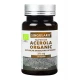 Acerola Organic 250mg (60kaps) Witamina C SINGULARIS