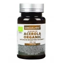 Acerola Organic 250 mg Organiczna Forte (60 kaps) Witamina C Singularis