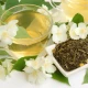 Ekologiczna Herbata Zielona Liściasta JASMINE 100 g EcoBlik