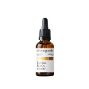 Boska Lion's Mane Soplówka Jeżowata 50 ml Divinegoods by.herbs