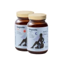MagneMe Men Zestaw Magnez Witamina B6 na Dzień i na Noc Dla Mężczyzn (2 x 60 kaps) Health Labs Care