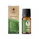 Olejek Eteryczny Rozmarynowy 100% 10 ml Dary Natury