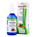Żyworódka w płynie z Aloesem 115ml Gorvita