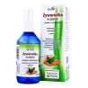 Żyworódka w płynie z Aloesem 115ml Gorvita