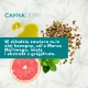 Capillus Seborea Serum do Włosów na Problemy Łojotokowe 40 ml Cannaderm