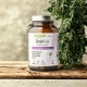 BrainFuel Bacopa Szałwia Miłorząb Japoński Guduchi 629 mg (60 kaps) Biowen