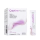 Kreatyna Monohydrat Nukleotydy Creatine Nucleo Wisniowo-Truskawkowa (30 sasz) Norsa Pharma
