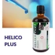 Helico Plus Żołądek Ekstrakt 100 ml Organis (OUTLET)