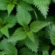 Pot Control - Szałwia Ashwagandha Pokrzywa Witamina B6 Kontrola Potliwości (60 kaps) Herballine Pharmovit