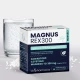 MAGNUS REX 300 Diglicynian Magnezu 300 mg (28 sasz) Biofarmacja