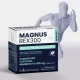 MAGNUS REX 300 Diglicynian Magnezu 300 mg (28 sasz) Biofarmacja