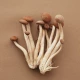 BIO NIGHT MUSHROOM BLEND - Organic Reishi Shiitake Polisacharydy Beta-glukan BIO VEGE 200 g FUNGI BeOrganic
