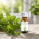 Olejek Eteryczny Mięta Miętowy 10ml ETJA