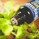 Oregasept H97 Olejek z Oregano Oliwa z Oliwek Extra Virgin 100 ml  Asepta