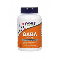 GABA Kwas Gamma-Aminomasłowy 500 mg (100 kaps) Now Foods
