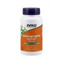 Andrographis 400 mg Ekstrakt (90 kaps) Now Foods