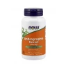 Andrographis 400 mg Ekstrakt (90 kaps) Now Foods