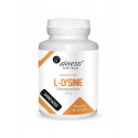 L-Lysine L-Lizyna Chlorowodorek 500 mg (100 kaps) Aliness