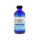 Children's DHA 530 mg Kwasy Omega-3 dla Dzieci Truskawka 237 ml Nordic Naturals