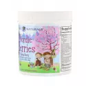 Nordic Berries Cherry Wiśniowe Multiwitaminy dla Dzieci i Dorosłych (120 żelków) Nordic Naturals