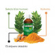 Laurosept Q73 Olejek Laurowy + Olejek Kurkumowy 100 ml Asepta