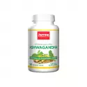 Ashwagandha 300 mg  (120 kaps) Jarrow Formulas