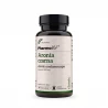 ARONIA CZARNA Ekstrakt 20:1 200 mg (60 kaps) Pharmovit