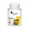 Nawłoć Ekstrakt 10:1 500 mg Układ Moczowy (100 kaps) VEGE Aliness