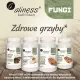 Reishi FUNGI Ekstrakt 400 mg Zdrowe Grzyby (90 kaps) VEGE Aliness Linia Fungi