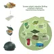Worki na Odpady Organiczne i Zmieszane w 100% Biodegradowalne i Kompostowalne 30l Rolka 20 szt BioBag